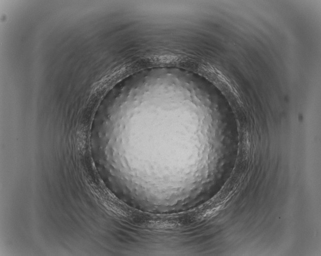 X0000087690545200705181757