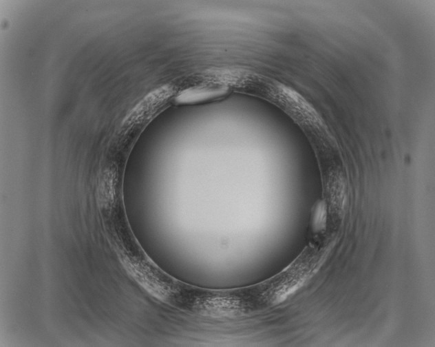 X0000087690546200705181757