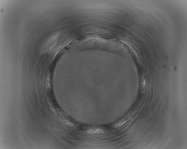 X0000087690547200705181757