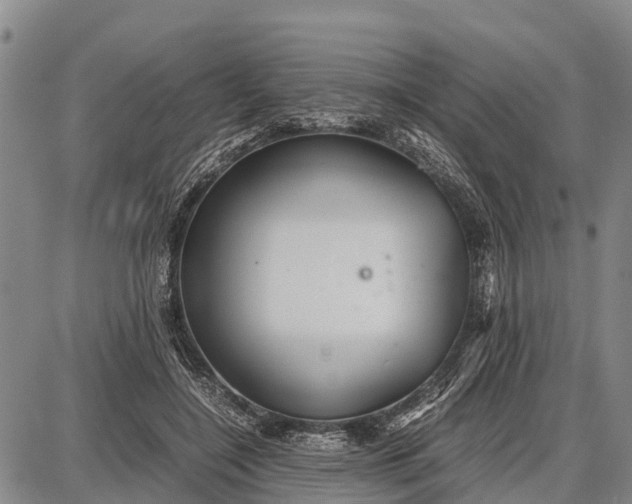 X0000087690548200705181757