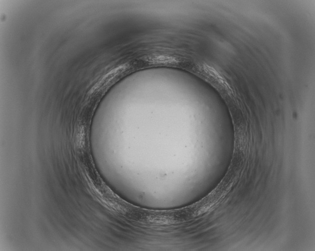 X0000087690549200705181757