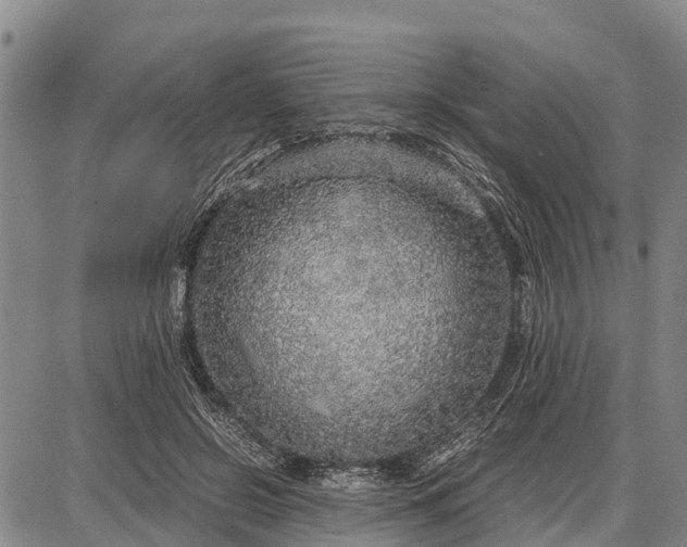 X0000087690550200705181757