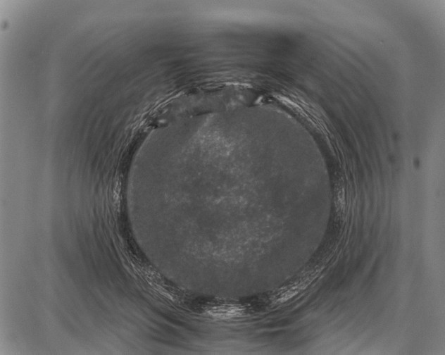 X0000087690551200705181757