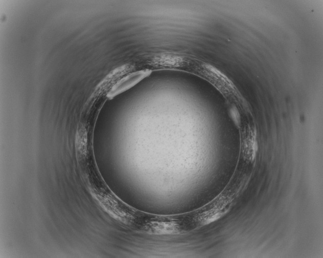 X0000087690552200705181757