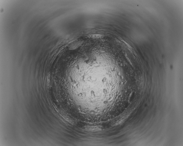 X0000087690553200705181757