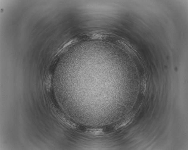 X0000087690554200705181757