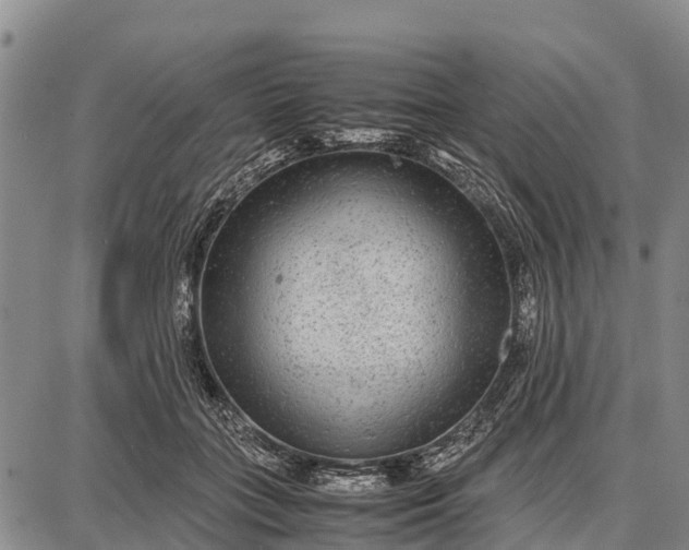 X0000087690555200705181757