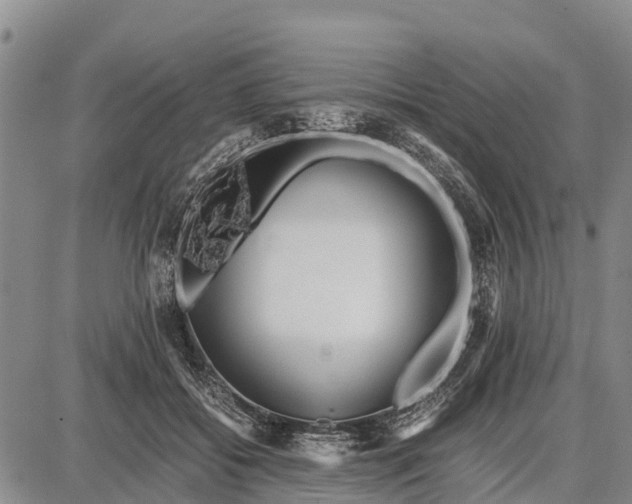 X0000087690556200705181757