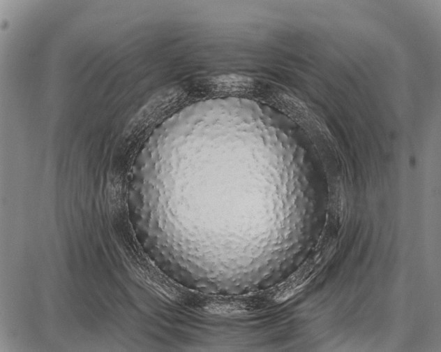 X0000087690557200705181757