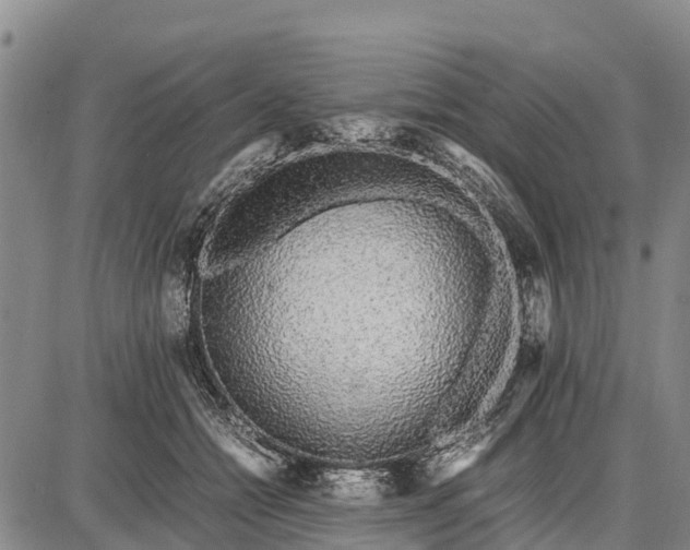 X0000087690558200705181757