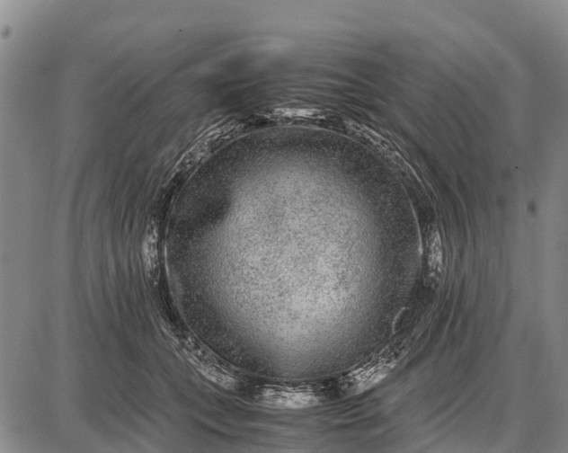 X0000087690559200705181757