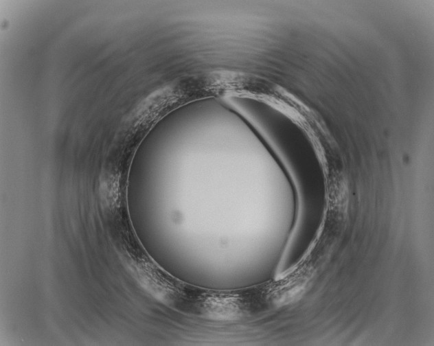 X0000087690560200705181757