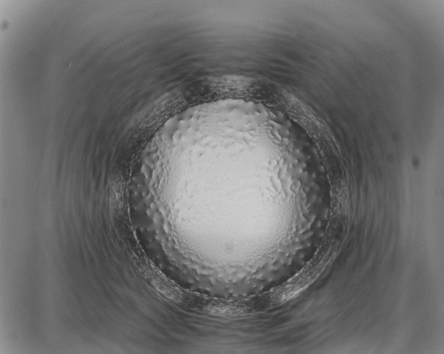 X0000087690561200705181757