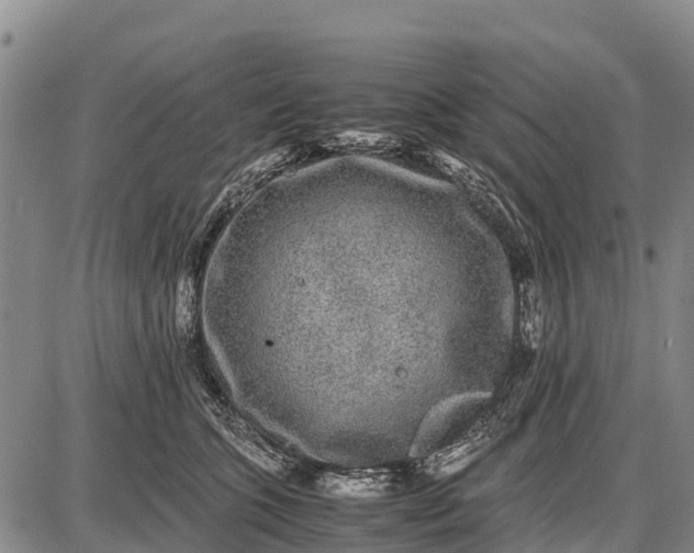 X0000087690563200705181757