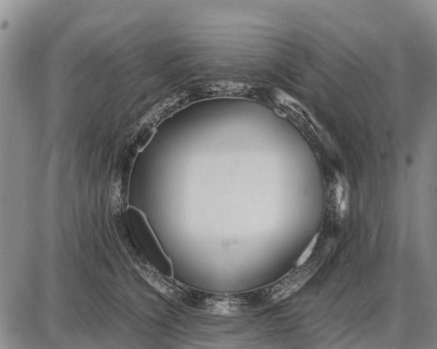 X0000087690564200705181757