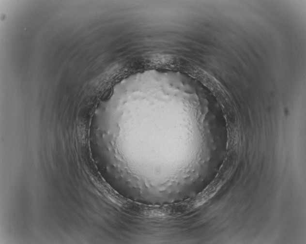 X0000087690565200705181757