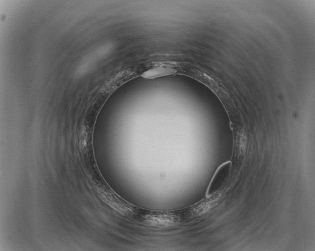 X0000087690567200705181757