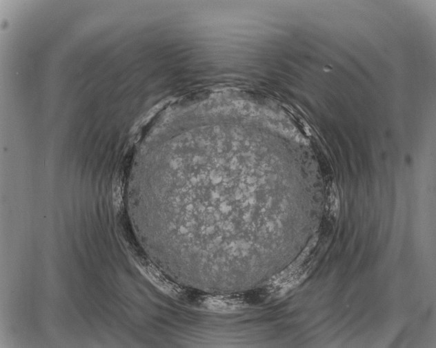 X0000087690568200705181757