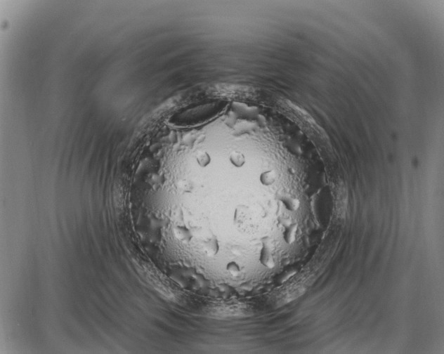 X0000087690569200705181757