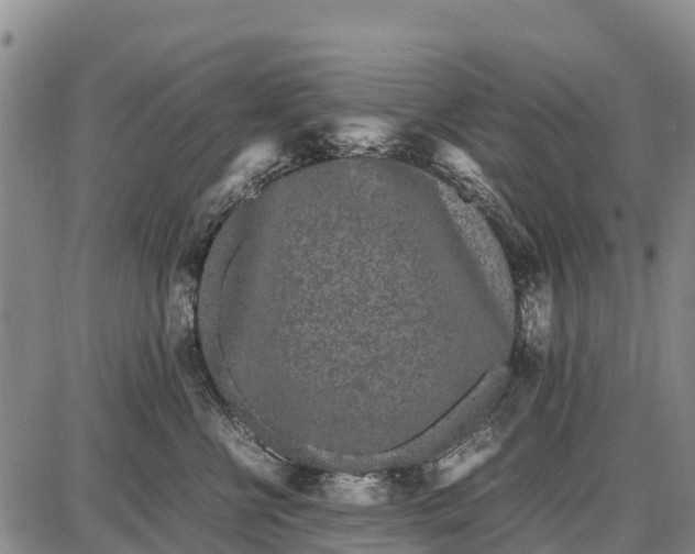 X0000087690570200705181757