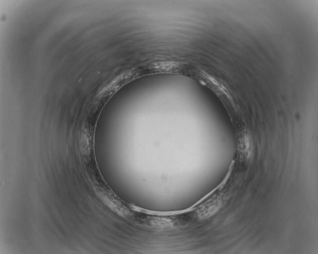 X0000087690572200705181757