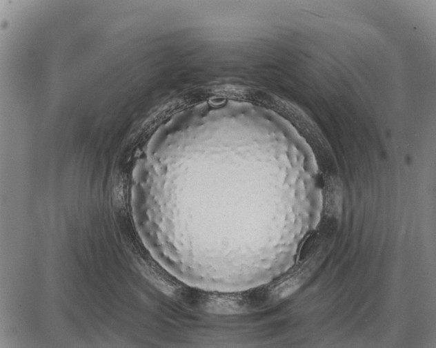 X0000087690573200705181758