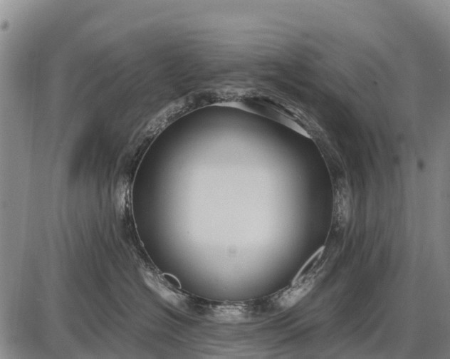 X0000087690574200705181758