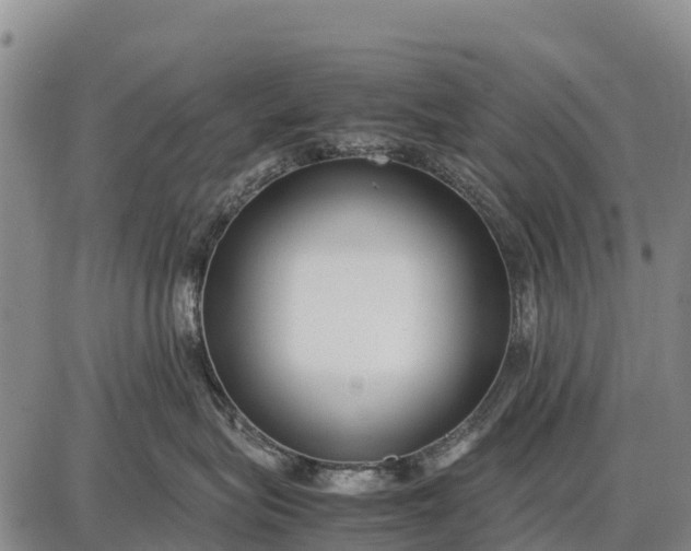 X0000087690575200705181758