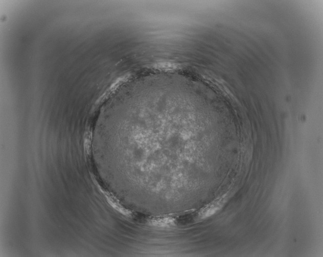 X0000087690576200705181758