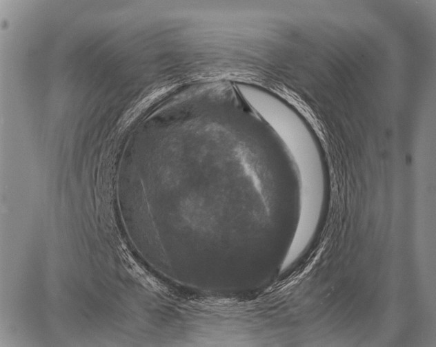 X0000087690577200705181757