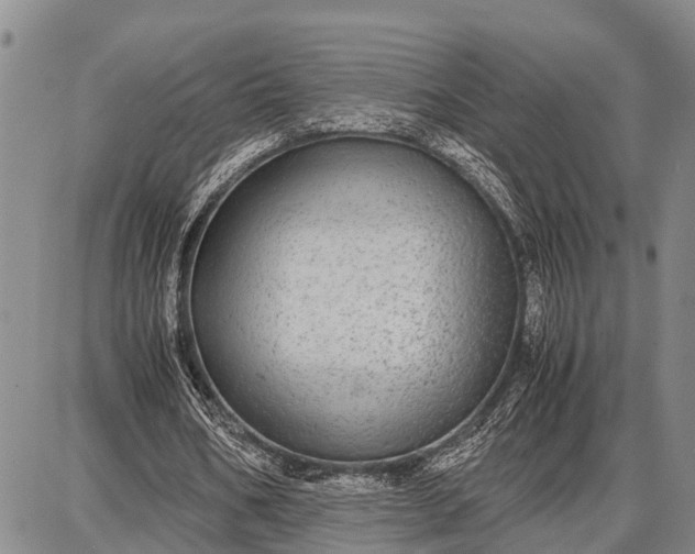 X0000087690578200705181757