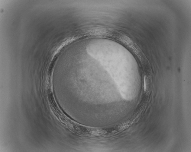 X0000087690579200705181757