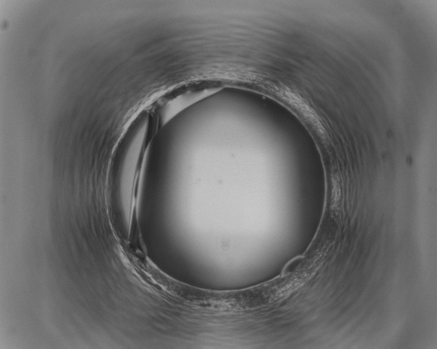 X0000087690580200705181757