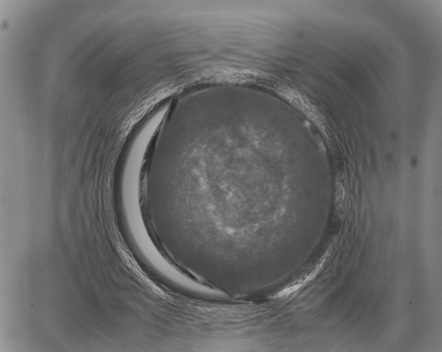 X0000087690581200705181757