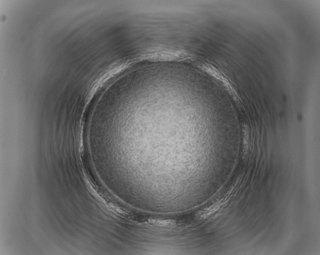 X0000087690582200705181757