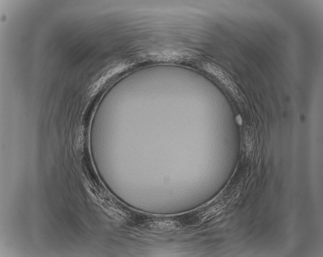 X0000087690583200705181757