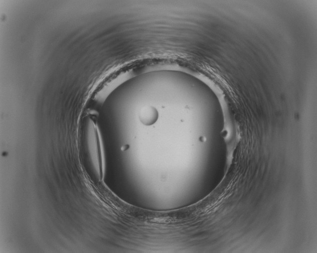 X0000087690584200705181757