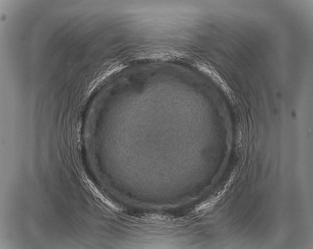 X0000087690585200705181757