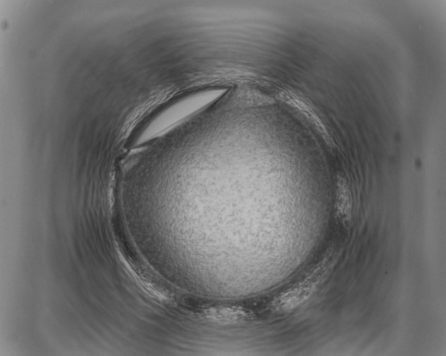 X0000087690586200705181757