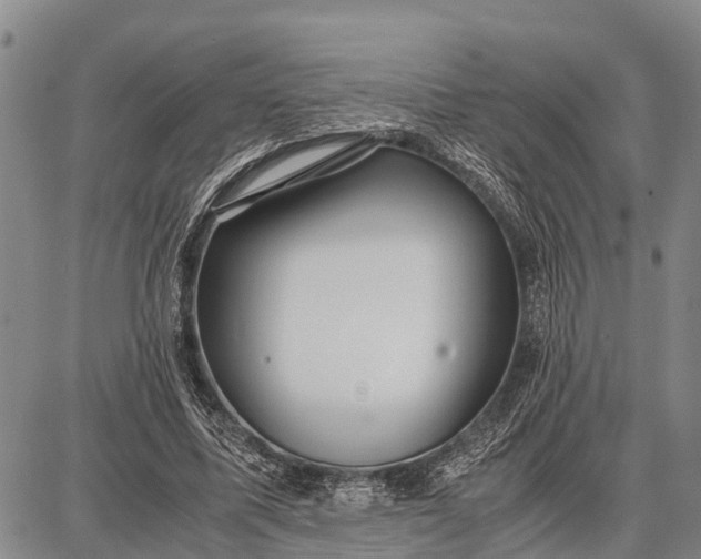 X0000087690587200705181757