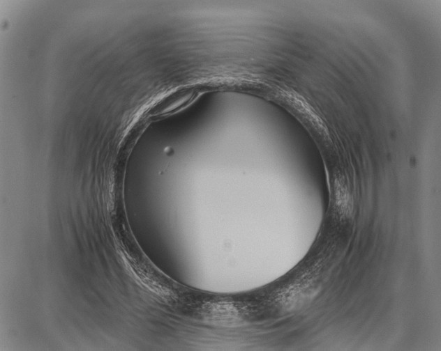 X0000087690588200705181757