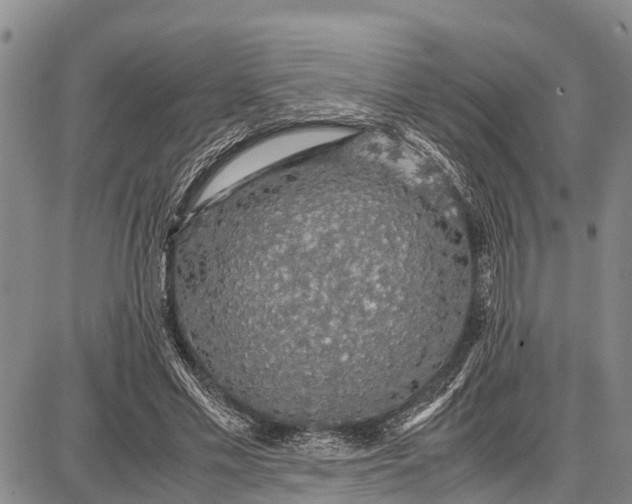 X0000087690589200705181757