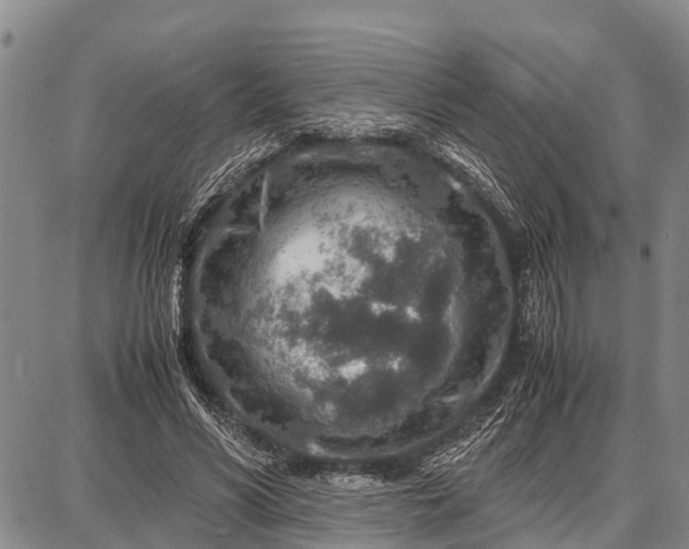 X0000087690590200705181757