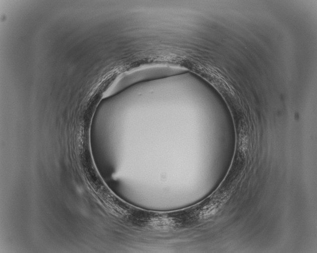 X0000087690591200705181757