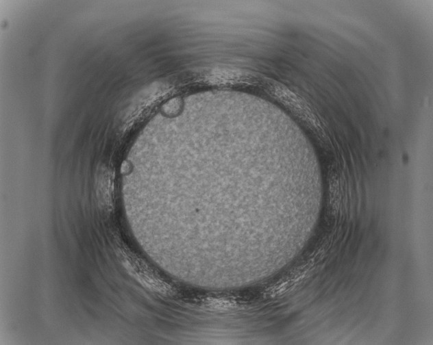 X0000087690592200705181757