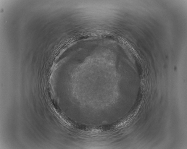 X0000087690593200705181757