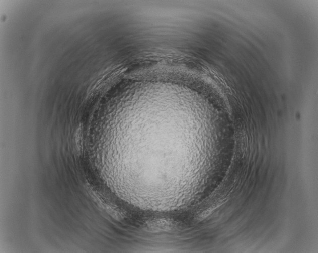 X0000087690594200705181757