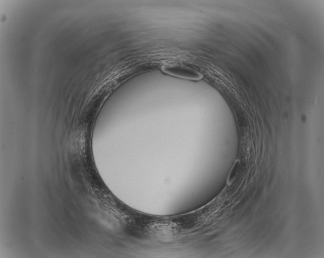 X0000087690595200705181756