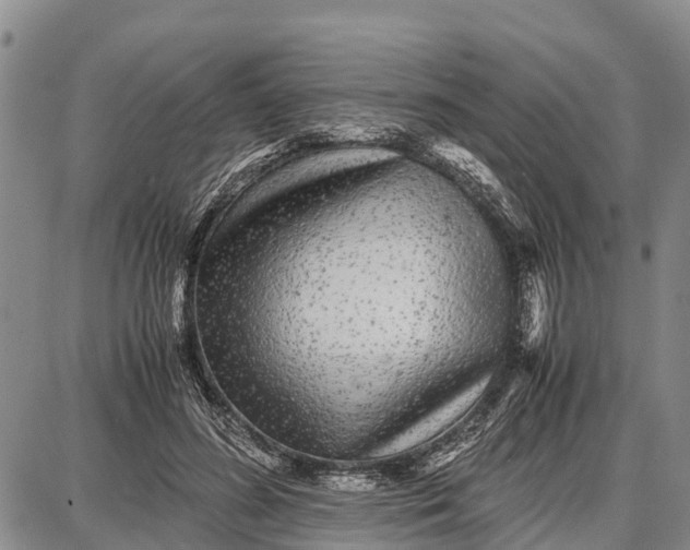 X0000087690596200705181756