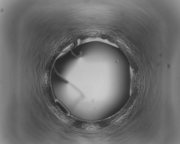 X0000087690597200705181756